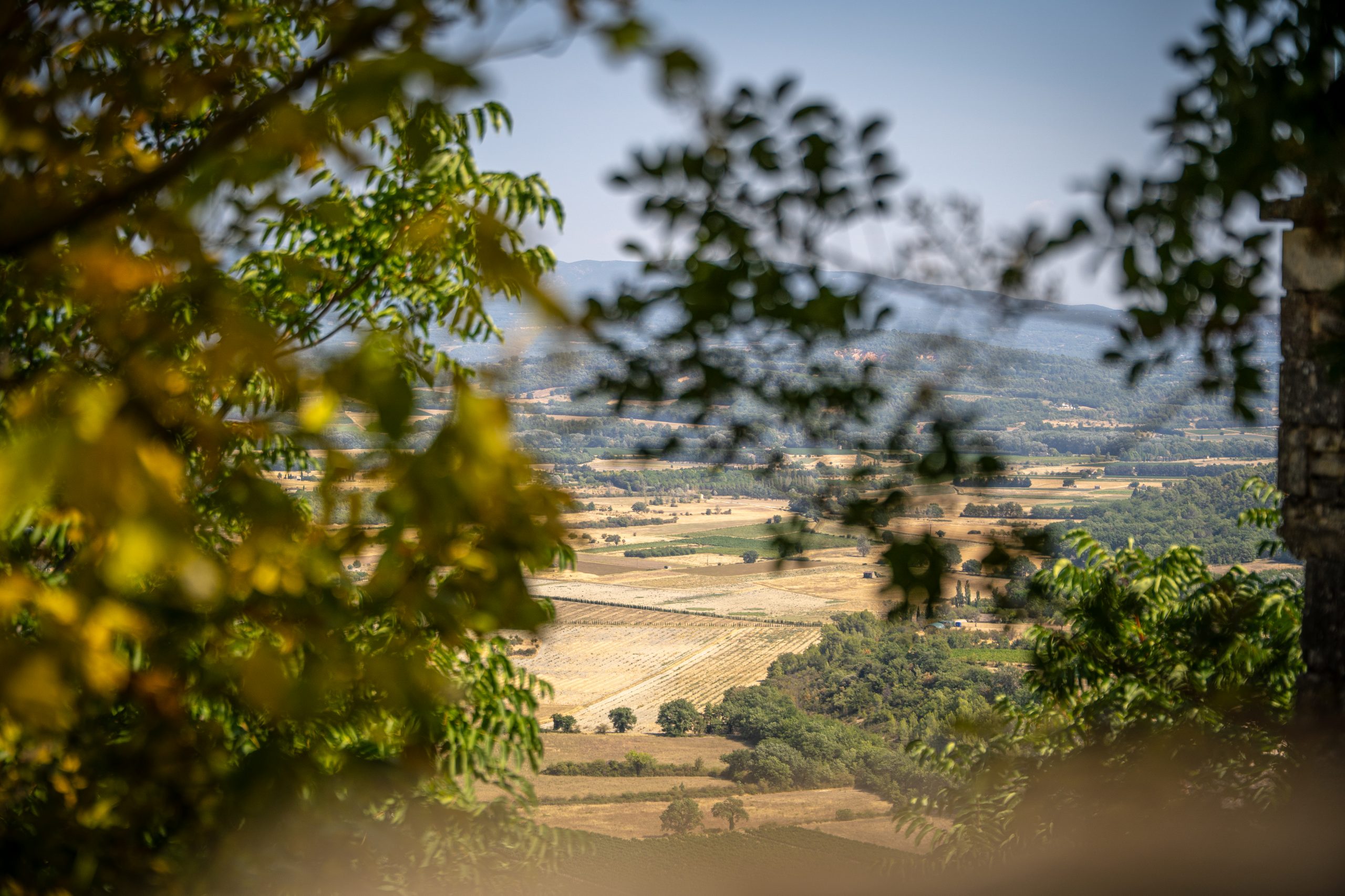 Photographie